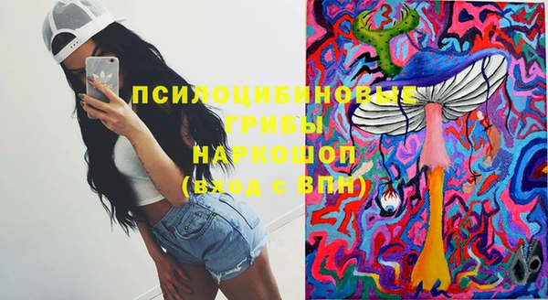стаф Навашино
